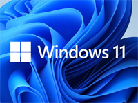 Windows 11